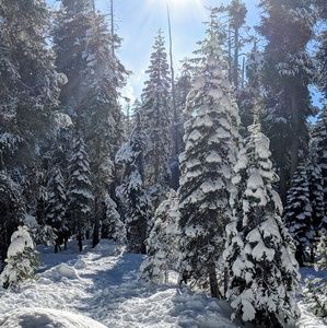 Meet Your Posher, Jazmin